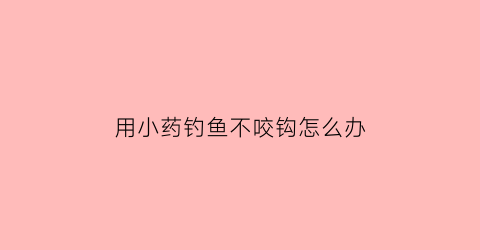 “用小药钓鱼不咬钩怎么办(用小药钓鱼不咬钩怎么办视频)