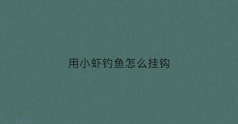 用小虾钓鱼怎么挂钩(用虾钓鱼怎么挂钩视频)