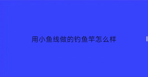 “用小鱼线做的钓鱼竿怎么样(用鱼线可以做什么手工)