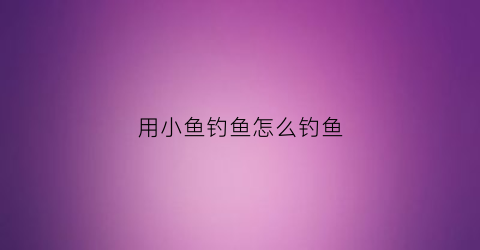 用小鱼钓鱼怎么钓鱼(如何用小鱼钓鱼)