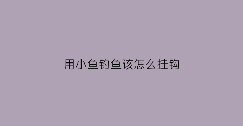 用小鱼钓鱼该怎么挂钩(用小鱼钓鱼怎么挂钩视频)