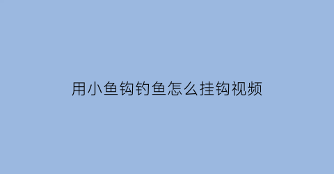 用小鱼钩钓鱼怎么挂钩视频(小鱼钩怎么绑视频教程)