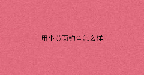 用小黄面钓鱼怎么样(小黄面钓鱼好用吗)