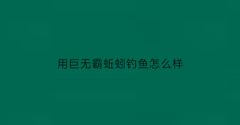 用巨无霸蚯蚓钓鱼怎么样(巨无霸钓鲤鱼效果怎么样)