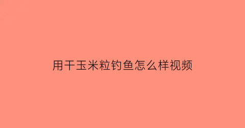 “用干玉米粒钓鱼怎么样视频(干玉米钓鱼饵料的制作方法)