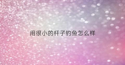 用很小的杆子钓鱼怎么样(小巧钓鱼竿)