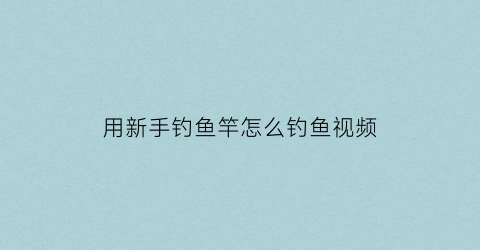 用新手钓鱼竿怎么钓鱼视频(初学钓鱼竿)
