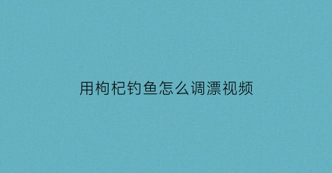 “用枸杞钓鱼怎么调漂视频(枸杞钓鱼怎么样制作)