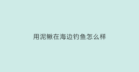 用泥鳅在海边钓鱼怎么样