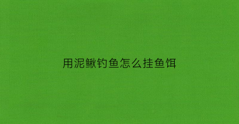 用泥鳅钓鱼怎么挂鱼饵(用泥鳅钓鱼怎么挂钩)