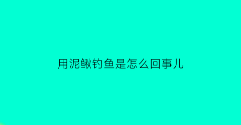 用泥鳅钓鱼是怎么回事儿(用泥鳅钓鱼会怎样)