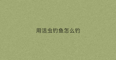用活虫钓鱼怎么钓(活红虫钓鱼好不好)