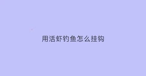 用活虾钓鱼怎么挂钩