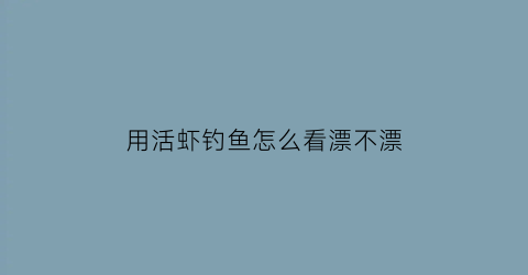 “用活虾钓鱼怎么看漂不漂(活虾钓法)