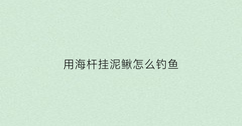 用海杆挂泥鳅怎么钓鱼(用海杆挂泥鳅怎么钓鱼呢)