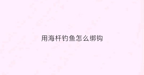用海杆钓鱼怎么绑钩(用海杆钓鱼怎么绑钩视频)