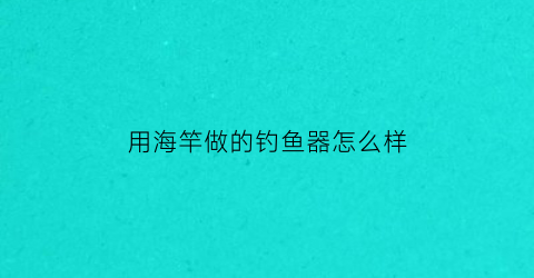 用海竿做的钓鱼器怎么样(自制海竿自动钓鱼器)