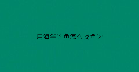 用海竿钓鱼怎么找鱼钩(海竿怎么钓海鱼)