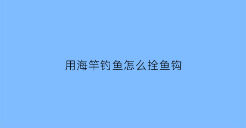 用海竿钓鱼怎么拴鱼钩(海竿的鱼钩是怎样栓的)