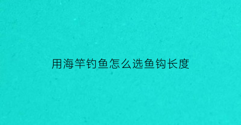 用海竿钓鱼怎么选鱼钩长度(用海竿钓鱼怎么选鱼钩长度视频)