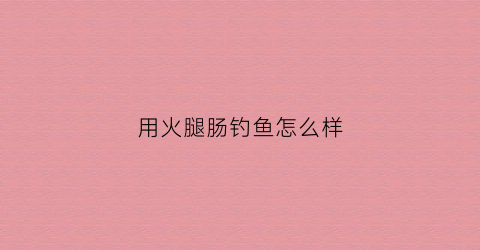 用火腿肠钓鱼怎么样(用火腿肠钓鱼效果好不)