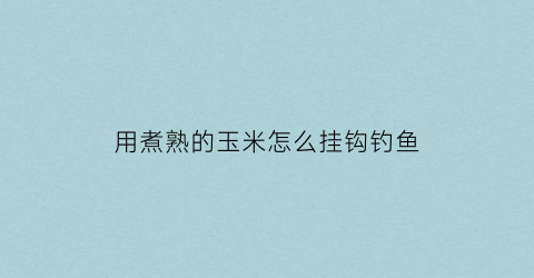 用煮熟的玉米怎么挂钩钓鱼(熟的玉米钓鱼好吗)