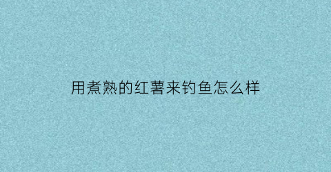 用煮熟的红薯来钓鱼怎么样(熟红薯钓鱼打窝怎么样)
