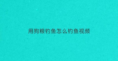 用狗粮钓鱼怎么钓鱼视频(用狗粮钓鱼怎么钓鱼视频教程)