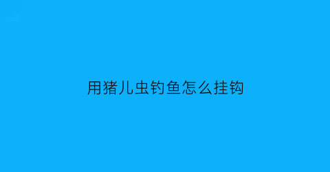 “用猪儿虫钓鱼怎么挂钩(用猪儿虫钓鱼怎么挂钩视频)