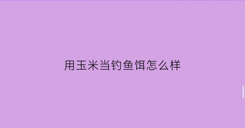 用玉米当钓鱼饵怎么样(玉米可以做钓饵吗)