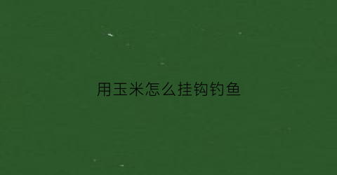 用玉米怎么挂钩钓鱼(野钓用玉米怎么挂钩)