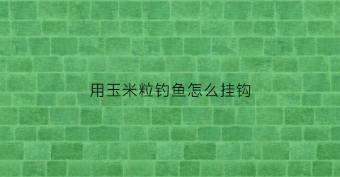 “用玉米粒钓鱼怎么挂钩(玉米粒钓鱼正确挂法)