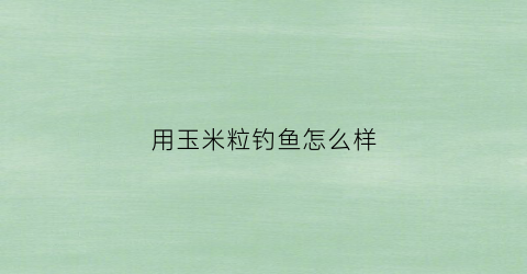 用玉米粒钓鱼怎么样(用玉米粒钓鱼怎么调漂)