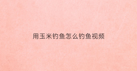 用玉米钓鱼怎么钓鱼视频(如何用玉米钓大鱼)