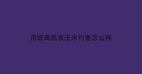 用玻璃瓶装玉米钓鱼怎么样(玻璃瓶子钓鱼制作方法)