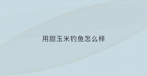 用甜玉米钓鱼怎么样