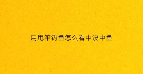 用甩竿钓鱼怎么看中没中鱼(钓鱼甩竿使用方法)