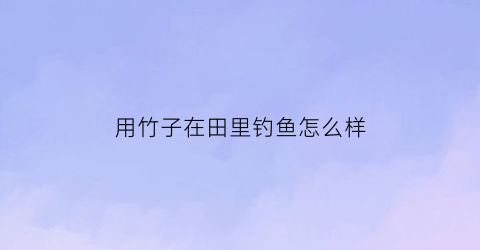 用竹子在田里钓鱼怎么样