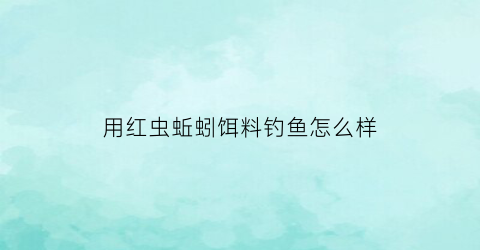 用红虫蚯蚓饵料钓鱼怎么样(红虫蚯蚓饵好用吗)