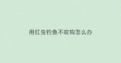用红虫钓鱼不咬钩怎么办(用红虫钓鱼怎样不闹小鱼)