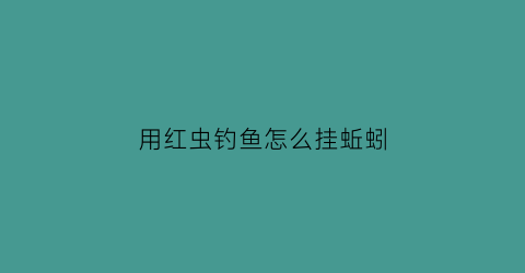 “用红虫钓鱼怎么挂蚯蚓(用红虫钓鱼是怎么挂在钩子上的)