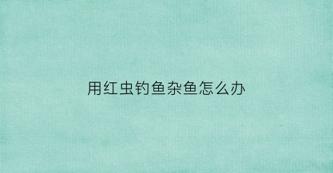 “用红虫钓鱼杂鱼怎么办(用红虫钓鱼会得这些病以后都不敢用了)