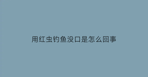 用红虫钓鱼没口是怎么回事(用红虫钓鱼有小鱼闹怎么办)