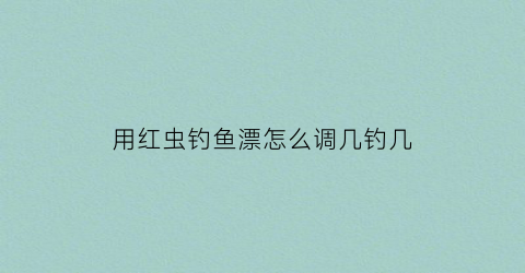 用红虫钓鱼漂怎么调几钓几(红虫调漂方法视频教程)