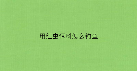 用红虫饵料怎么钓鱼