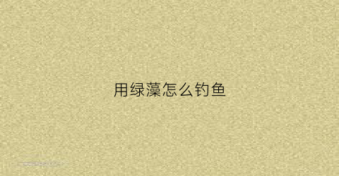 用绿藻怎么钓鱼(水面都是绿藻能钓鱼吗)