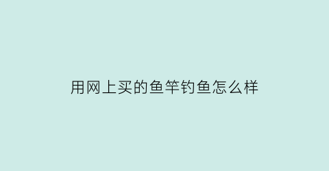 用网上买的鱼竿钓鱼怎么样(网上买钓鱼竿质量好吗)