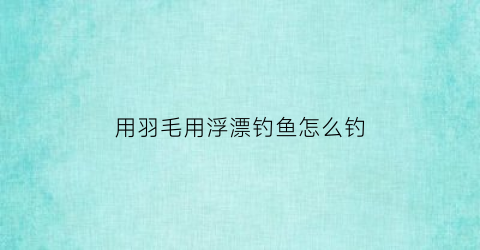 “用羽毛用浮漂钓鱼怎么钓(羽毛浮漂的优缺点)