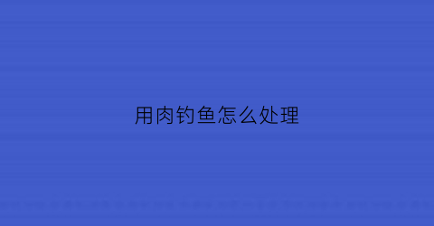 用肉钓鱼怎么处理(用肉钓鱼行不行)
