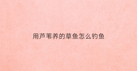 用芦苇养的草鱼怎么钓鱼(用芦苇养的草鱼怎么钓鱼好)